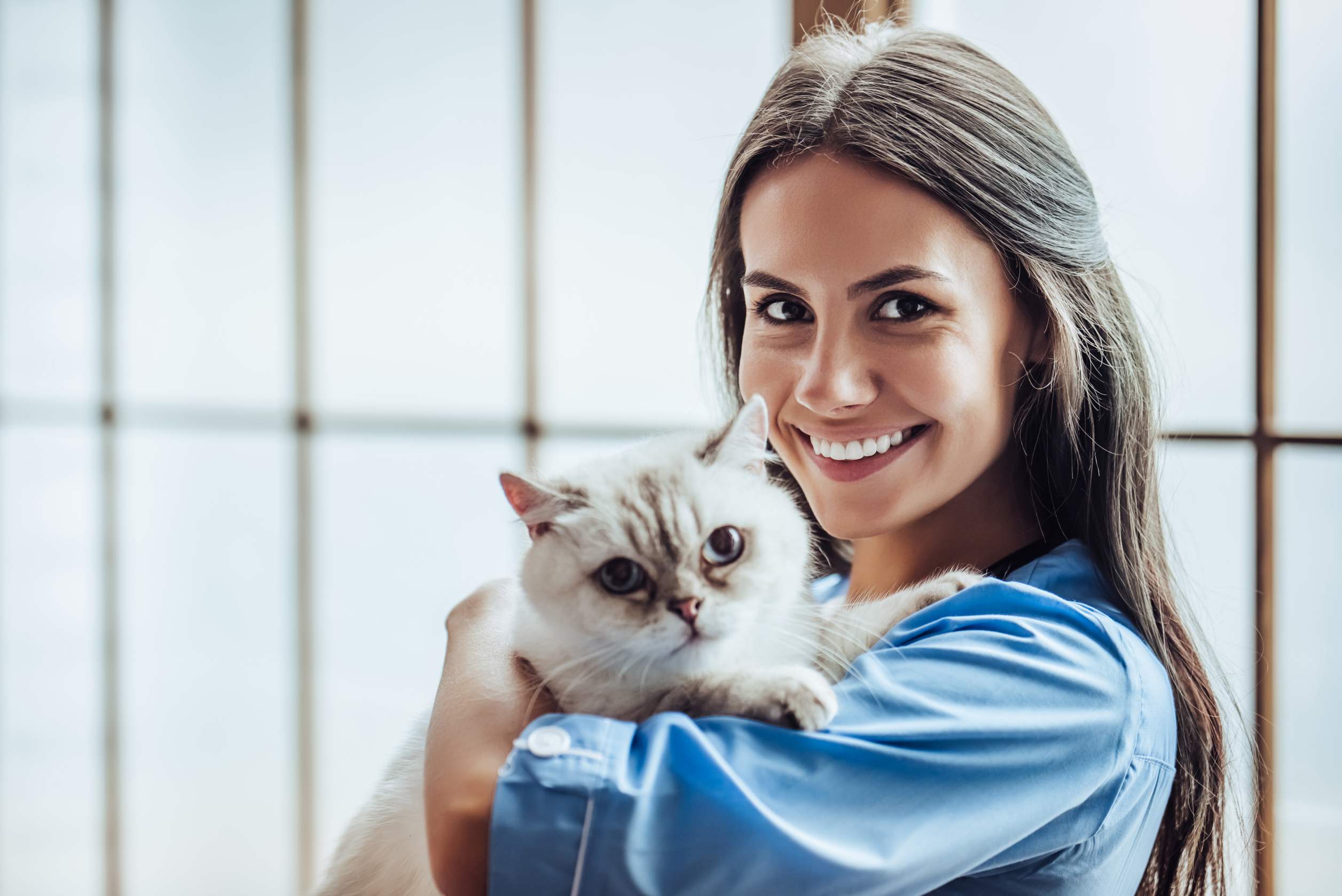 Eine Frau hält eine weiße Katze auf dem Arm.